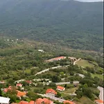άγρια λούλουδα αρμονία