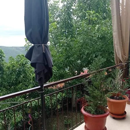 Apartment άγρια λούλουδα αρμονία Timfristos