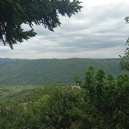 شقة άγρια λούλουδα αρμονία Timfristos