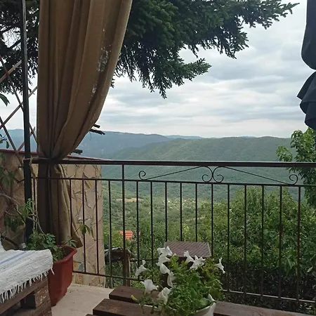 άγρια λούλουδα αρμονία شقة