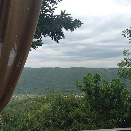 Appartement άγρια λούλουδα αρμονία Timfristos