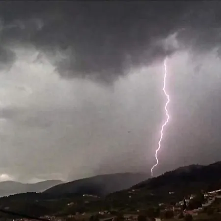 Appartement άγρια λούλουδα αρμονία Timfristos