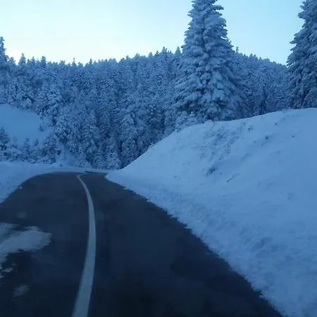 Appartement άγρια λούλουδα αρμονία Timfristos