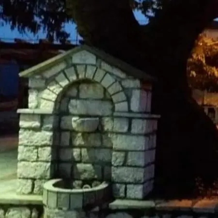 άγρια λούλουδα αρμονία Apartment Timfristos