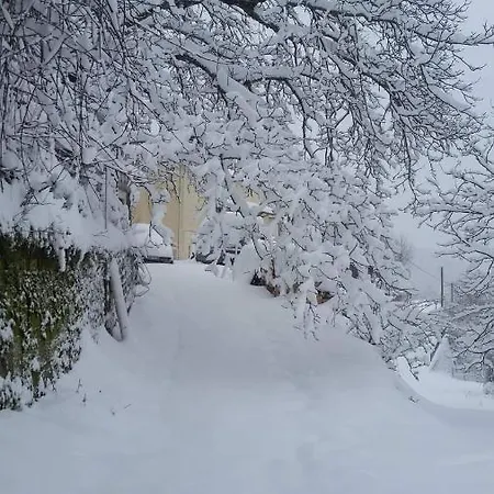 Appartement άγρια λούλουδα αρμονία