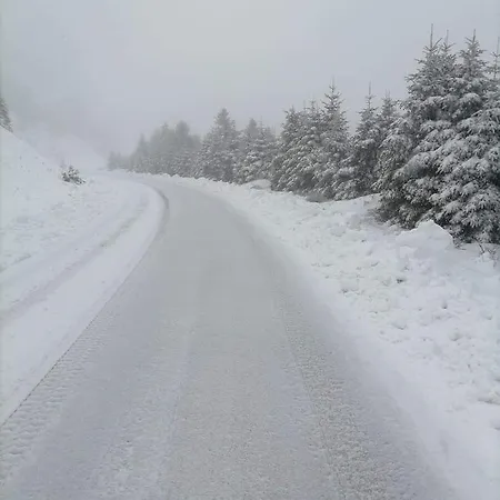 Appartement άγρια λούλουδα αρμονία *