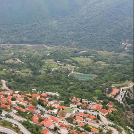 άγρια λούλουδα αρμονία Timfristos