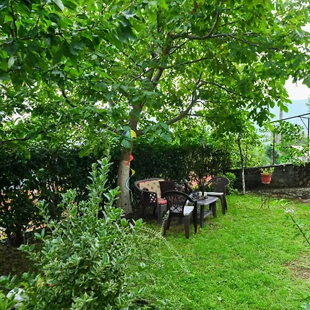 άγρια λούλουδα αρμονία Appartement Timfristos