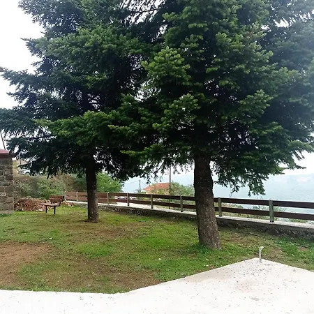 άγρια λούλουδα αρμονία Timfristos