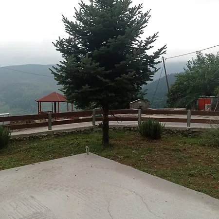 άγρια λούλουδα αρμονία Timfristos