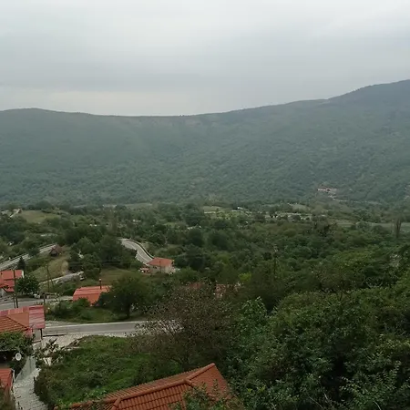 Apartment άγρια λούλουδα αρμονία