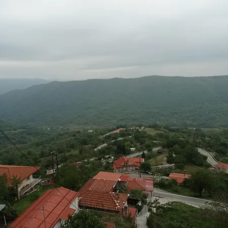 Apartment άγρια λούλουδα αρμονία Timfristos