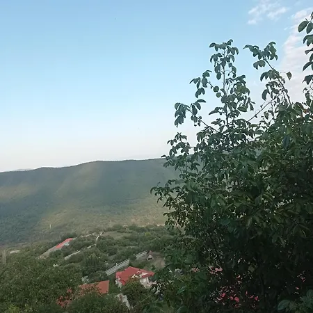 άγρια λούλουδα αρμονία Appartement *