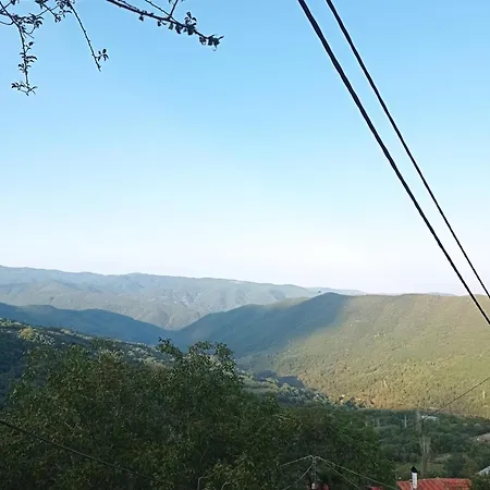 شقة άγρια λούλουδα αρμονία *