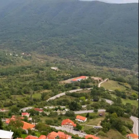 άγρια λούλουδα αρμονία