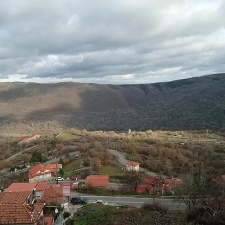 άγρια λούλουδα αρμονία