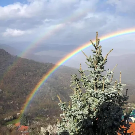 άγρια λούλουδα αρμονία *