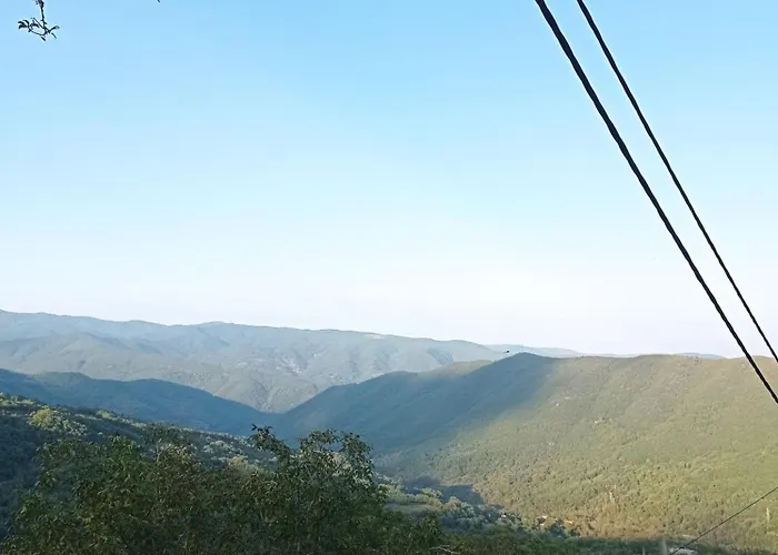 Apartment άγρια λούλουδα αρμονία *